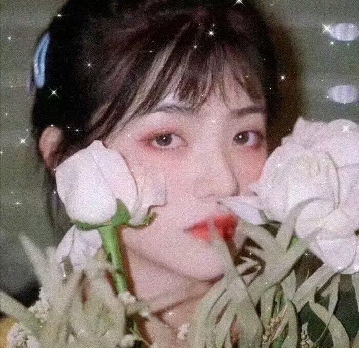 红粉舵爷